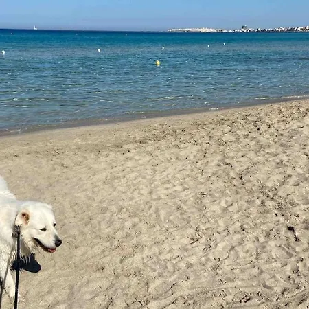 公寓 Attico In Riva Al Mare *